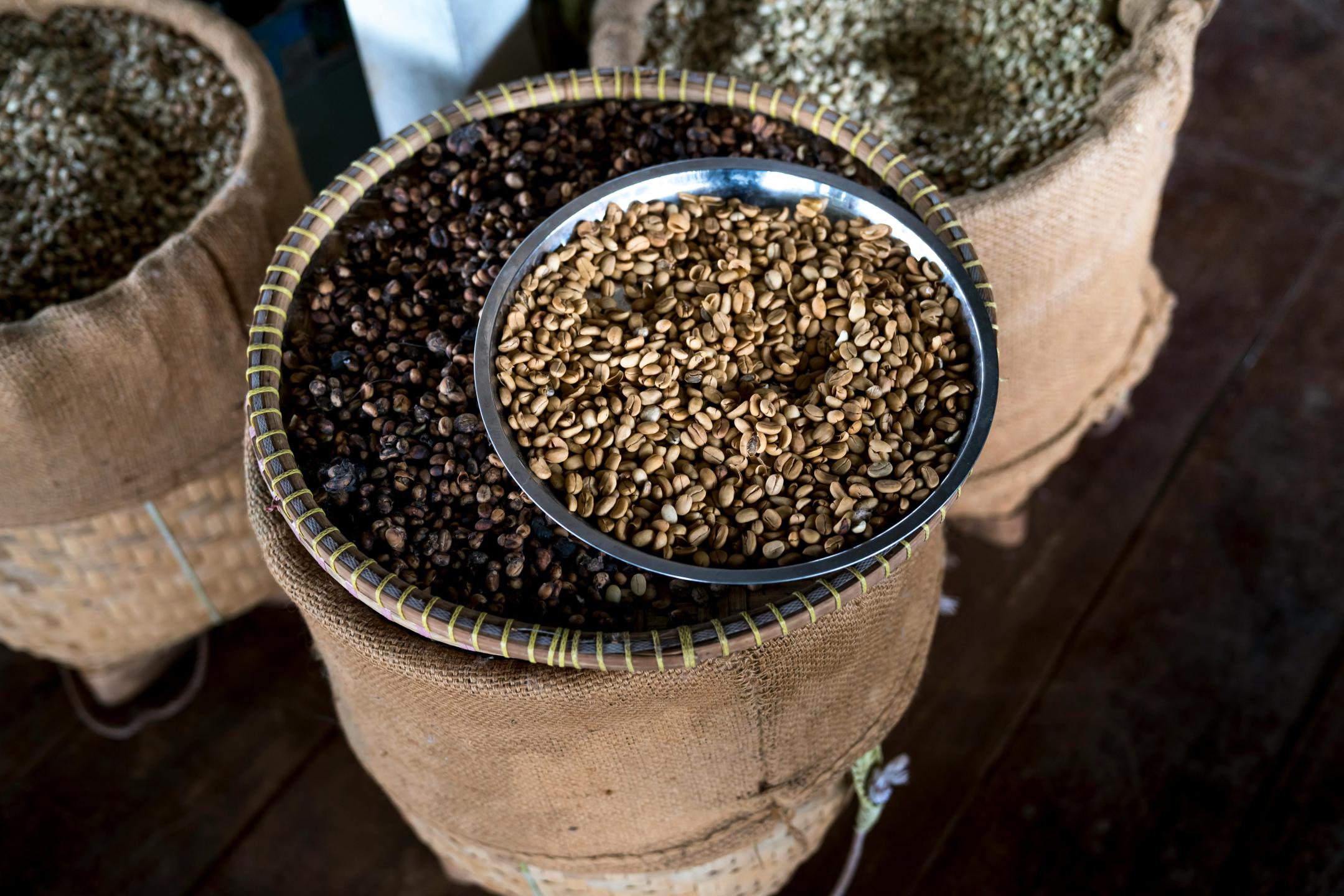 Tastes of South America